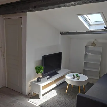 Cosy Duplex Of 56m In Beziers! شقة